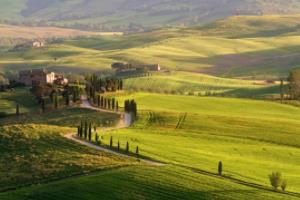 波胆足球,一场充满激情与智慧的运动盛宴波胆足球啥意思